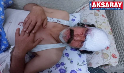 Halk Ozanı Ali Şimşek trafik kazasında yaralandı