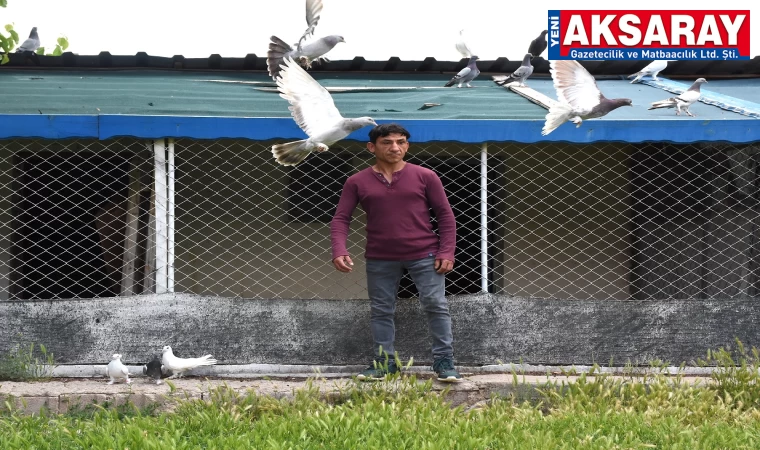 Rehabilitasyon merkezinde 13 yıldır güvercin besliyor