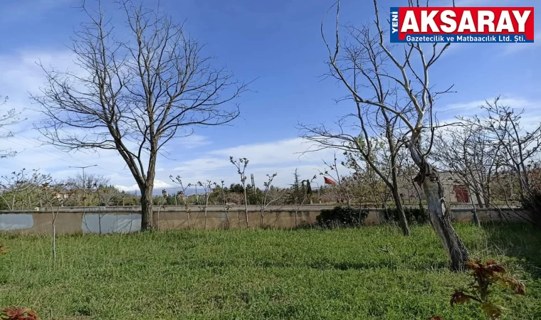ESKİ HASTANELERİN BAHÇESİ KADERİNE TERK EDİLMİŞ Bakımsızlıktan ağaçlar bile kurumuş