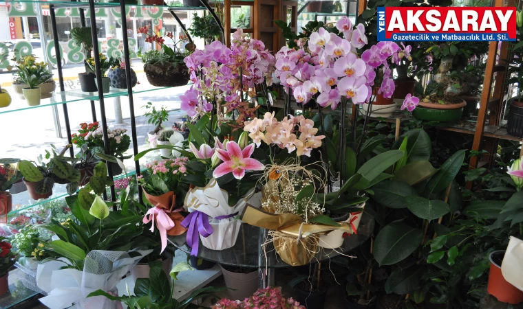 Artan sıcaklarda çiçek bakımına ekstra dikkat edilmeli